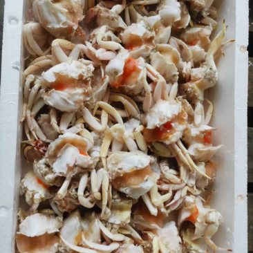 大号满肉元宝蟹排/捞汁海鲜