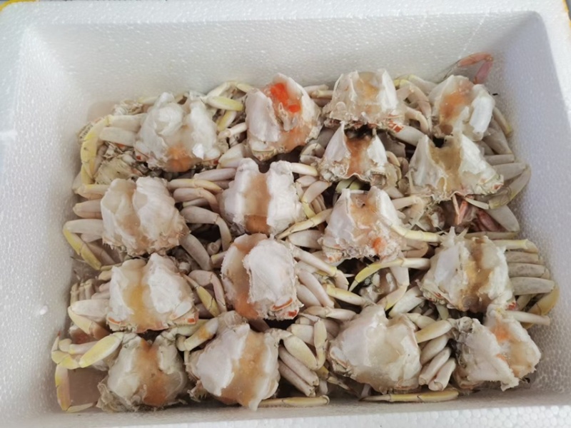 大号满肉元宝蟹排/捞汁海鲜