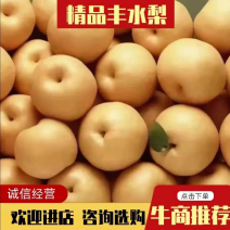 河北丰水梨产地直供保证质量口感脆甜欢迎全国各地客商采购
