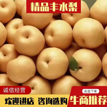 河北丰水梨产地直供保证质量口感脆甜欢迎全国各地客商采购