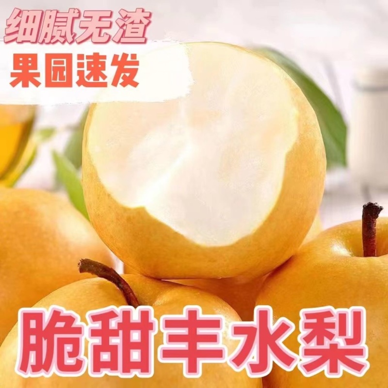 河北丰水梨产地直供保证质量口感脆甜欢迎全国各地客商采购