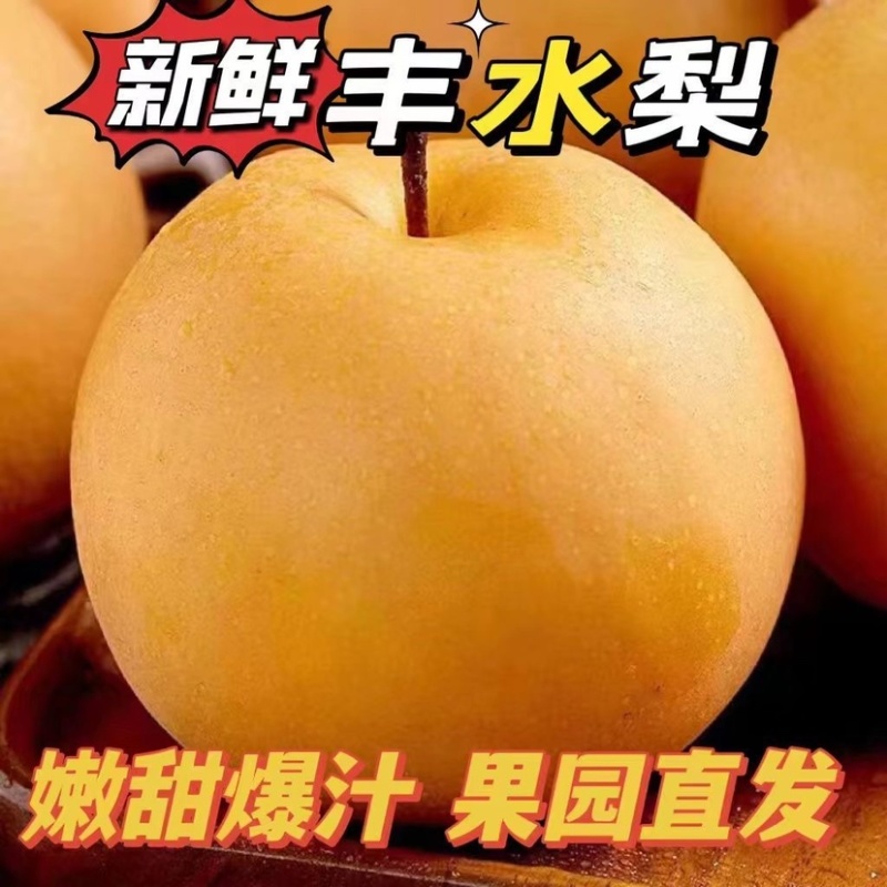 河北丰水梨产地直供保证质量口感脆甜欢迎全国各地客商采购
