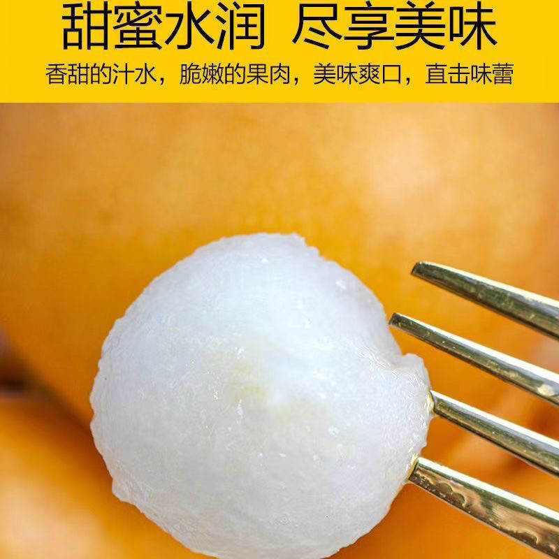 河北丰水梨产地直供保证质量口感脆甜欢迎全国各地客商采购