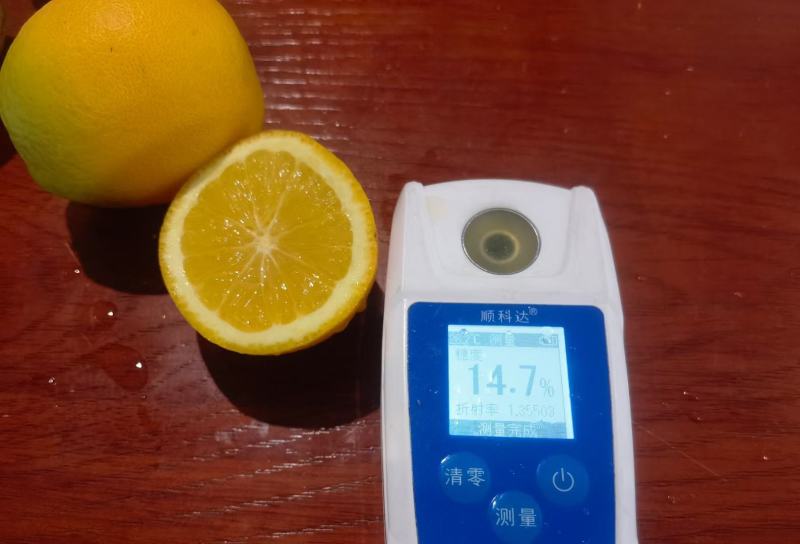 湖北秭归精品夏橙，皮薄化渣，量大从优，可视频看货欢迎来电咨询
