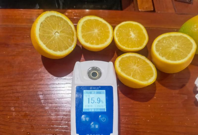 湖北秭归精品夏橙，皮薄化渣，量大从优，可视频看货欢迎来电咨询