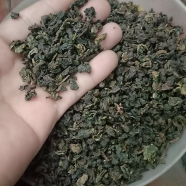 浓香铁观音