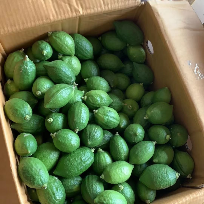 广东无籽香水柠檬