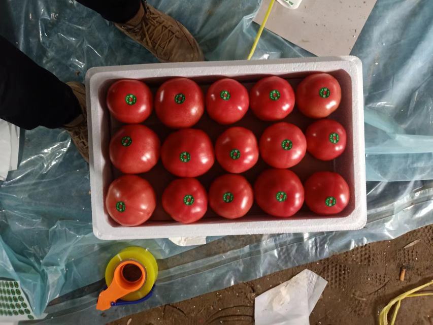 普罗旺斯西红柿在超市货架上的售价标签