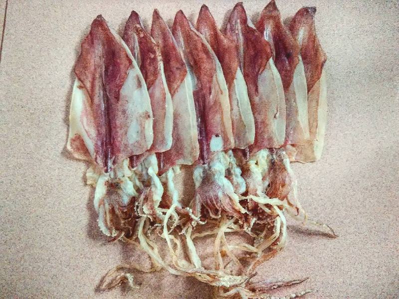 鲜小管，鱿鱼，大虾，枪鱼，午鱼，马胶鱼，石九公…