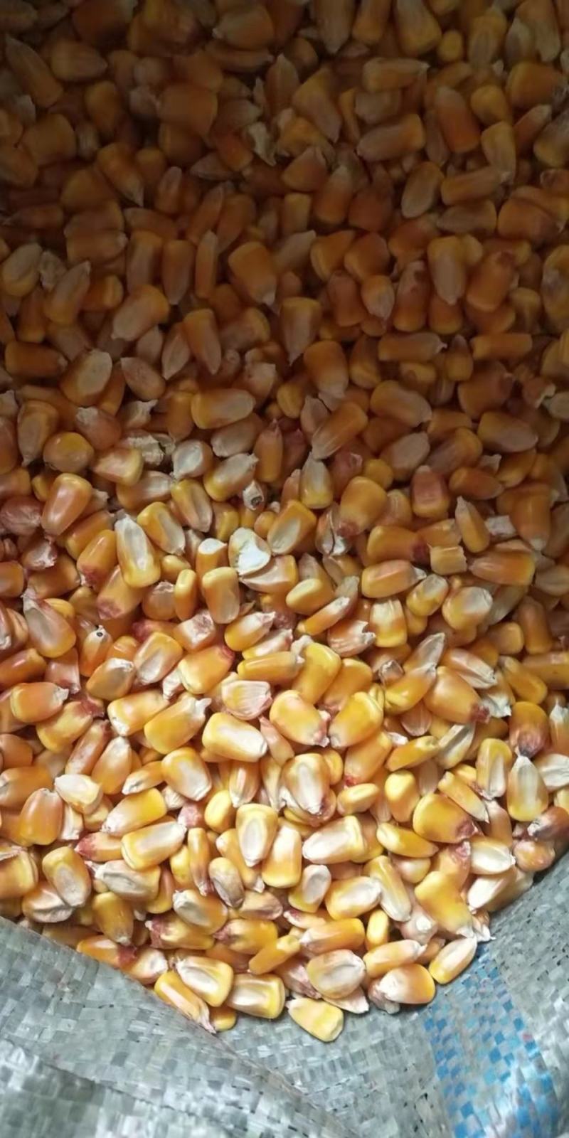 玉米，小麦，黄豆，白红小豆等杂粮