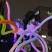 网红波波球儿童卡通发光章鱼气球diy玩具公园广场夜市热销