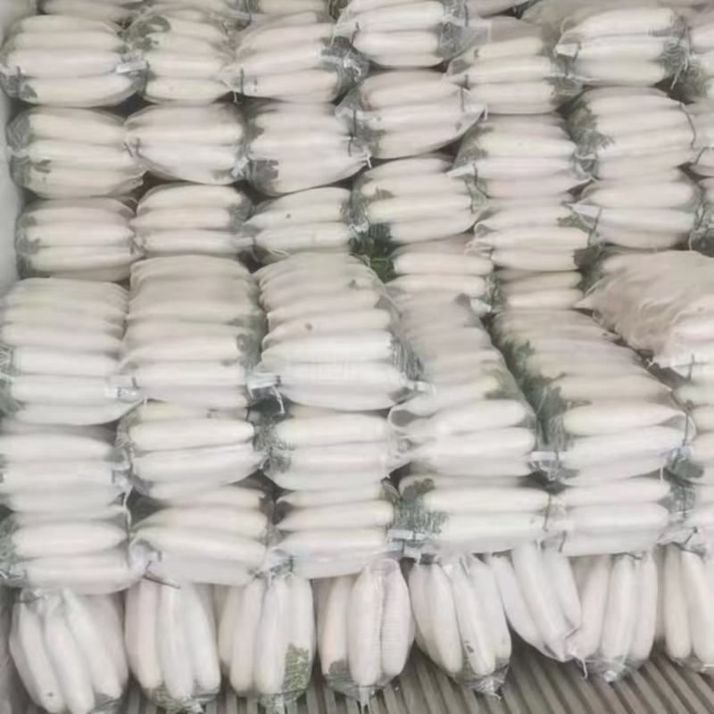 白萝卜大量供应市场电商加工厂水洗加工打包一条龙