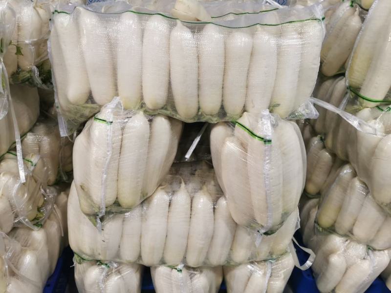 白萝卜大量供应市场电商加工厂水洗加工打包一条龙