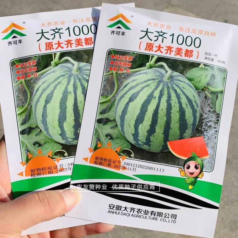 大齐1000美都西瓜种子纯正美都西瓜品种基地专用品质佳