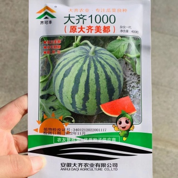 大齐1000美都西瓜种子纯正美都西瓜品种基地专用品质佳