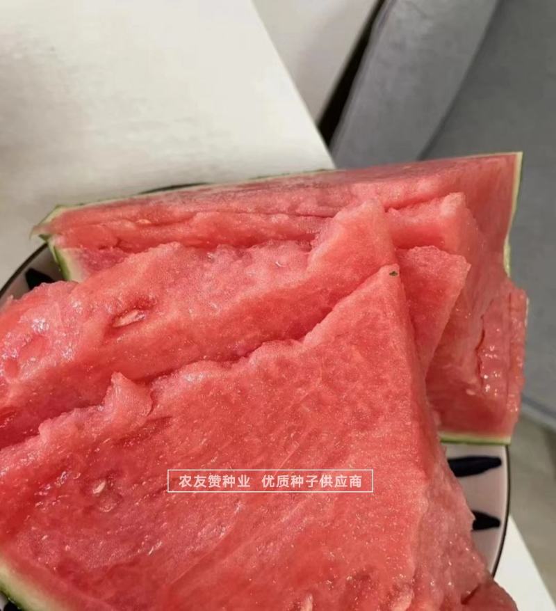 大齐1000美都西瓜种子纯正美都西瓜品种基地专用品质佳