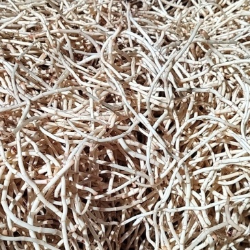 精品鱼腥草，量大可长期供应