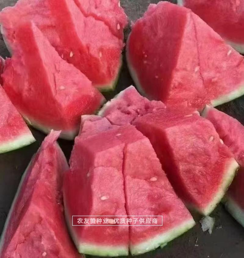 原装天禧麒麟西瓜种子质脆味甜大红瓤小黑籽西瓜种子中早熟