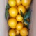 水果