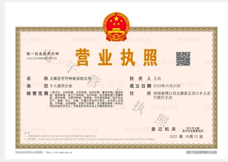 【中高辣辣椒段】高辣段，辣椒节，高辣有籽辣椒段无籽辣椒段