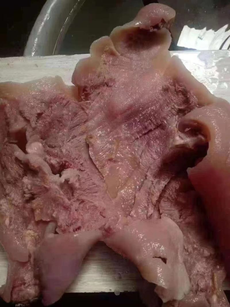 【牛头肉】牛皮山东厂家发往全国品质保障
