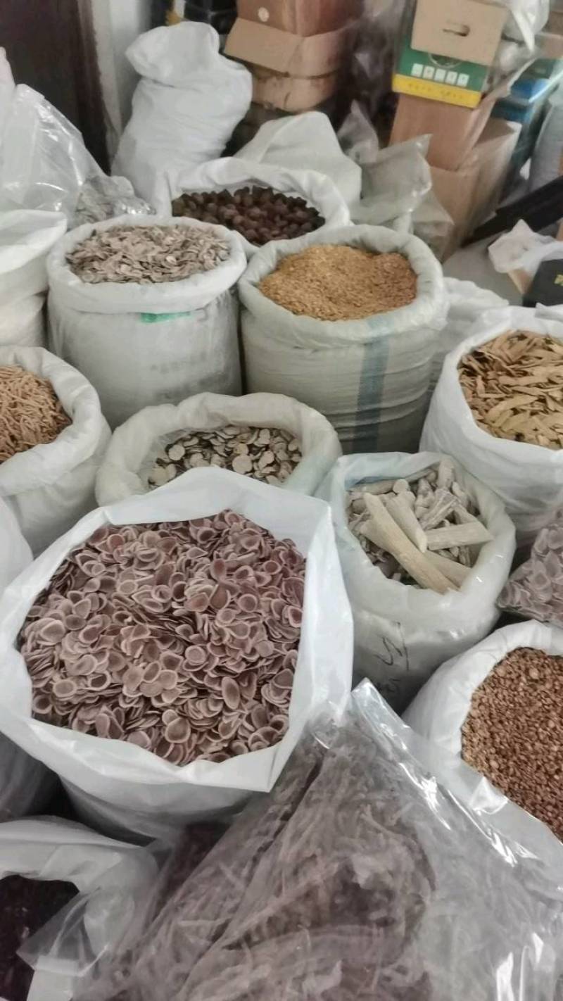 通草大通草1000克规格齐全批发供应各种中药材