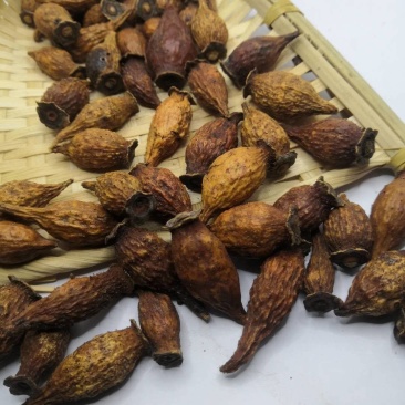 金樱子金英子1000克齐全现货供应各种中药材