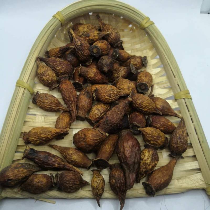 金樱子金英子1000克齐全现货供应各种中药材