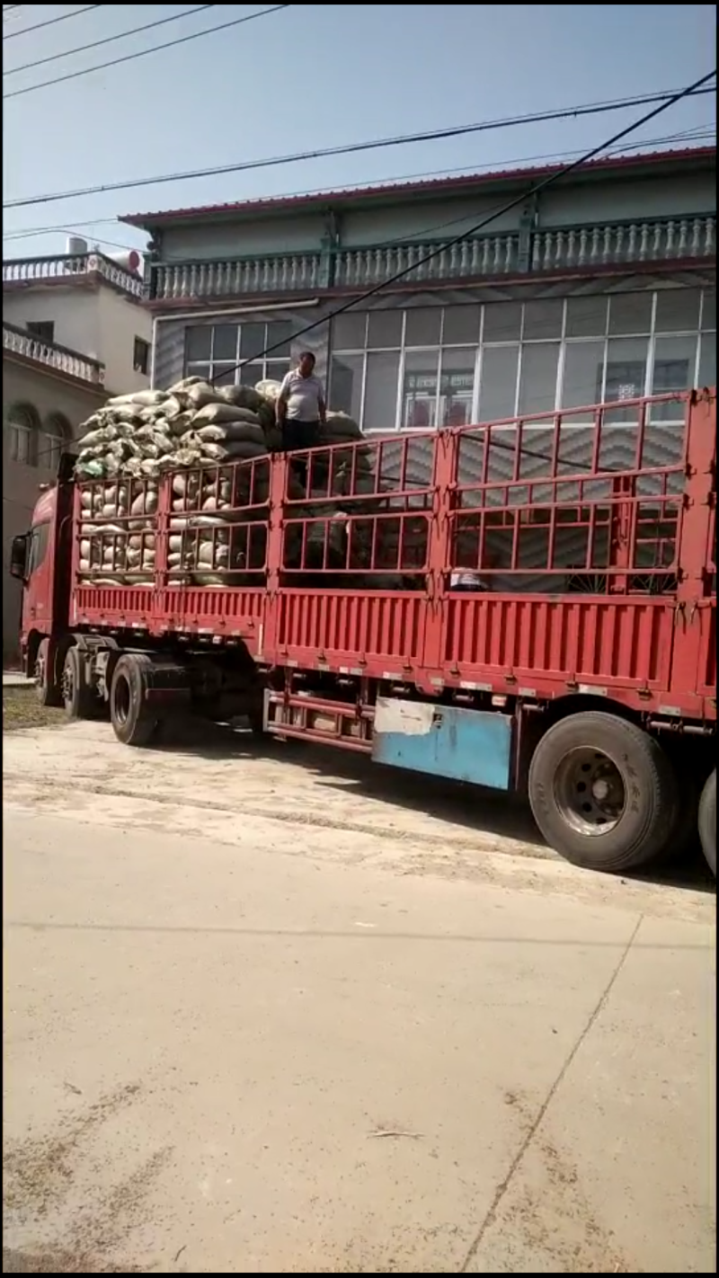 稻壳鸡粪谷壳鸡粪常年供销一手货源
