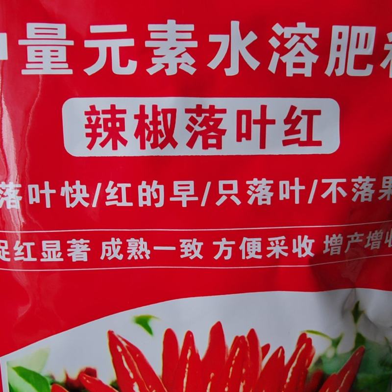 辣椒落叶红落叶快/红的早/只落叶/不落果