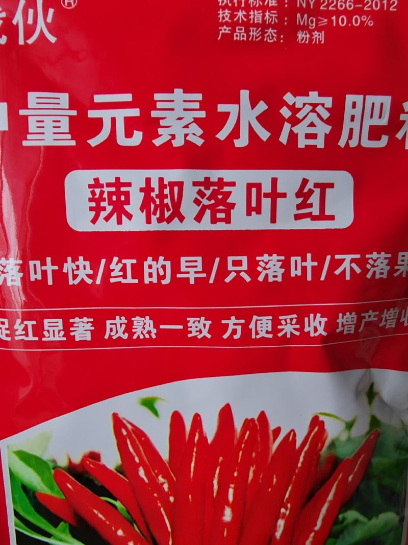 辣椒落叶红落叶快/红的早/只落叶/不落果