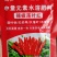 辣椒落叶红落叶快/红的早/只落叶/不落果