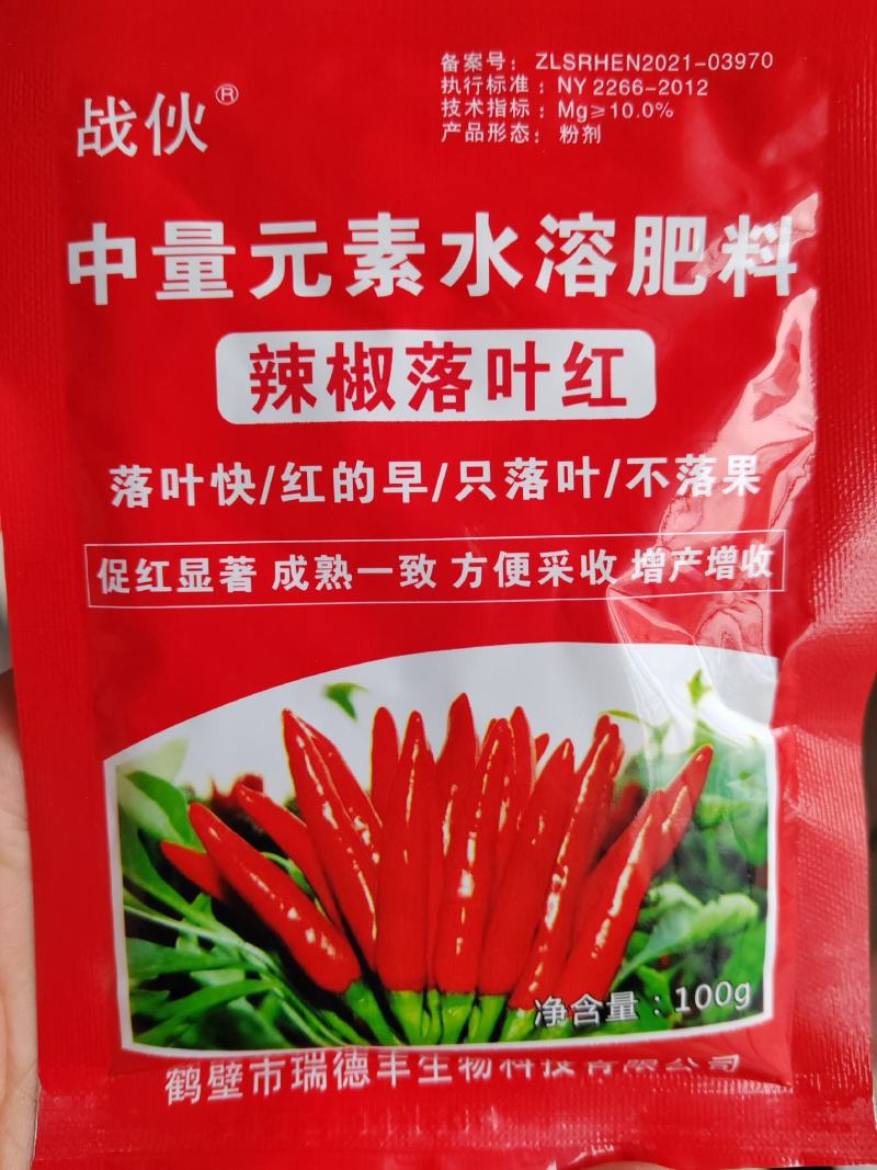 辣椒落叶红落叶快/红的早/只落叶/不落果