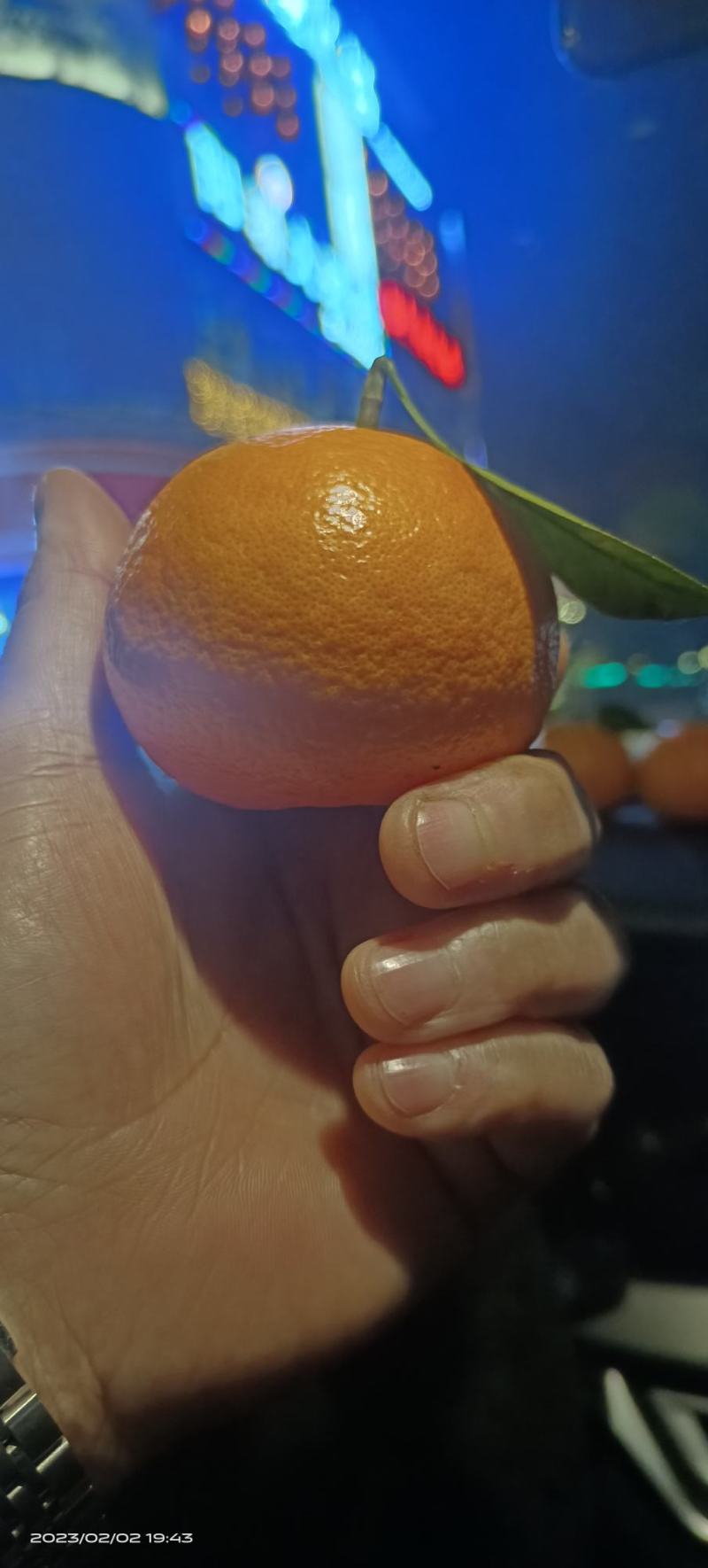 沃柑，纯甜化渣，皮薄肉厚，颜色火红，无干水