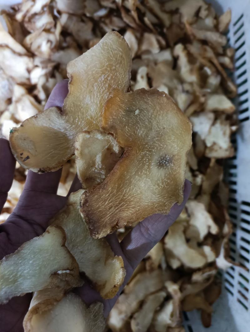 黄精