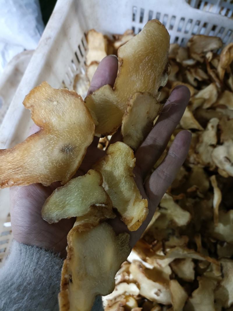 黄精