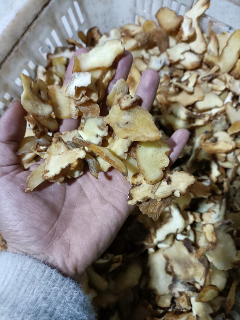 黄精