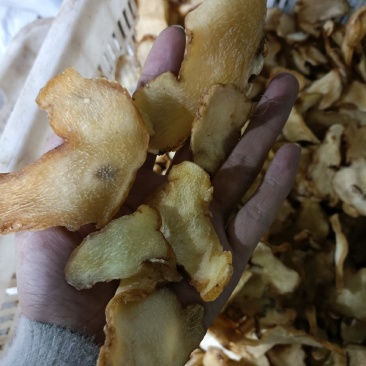 黄精