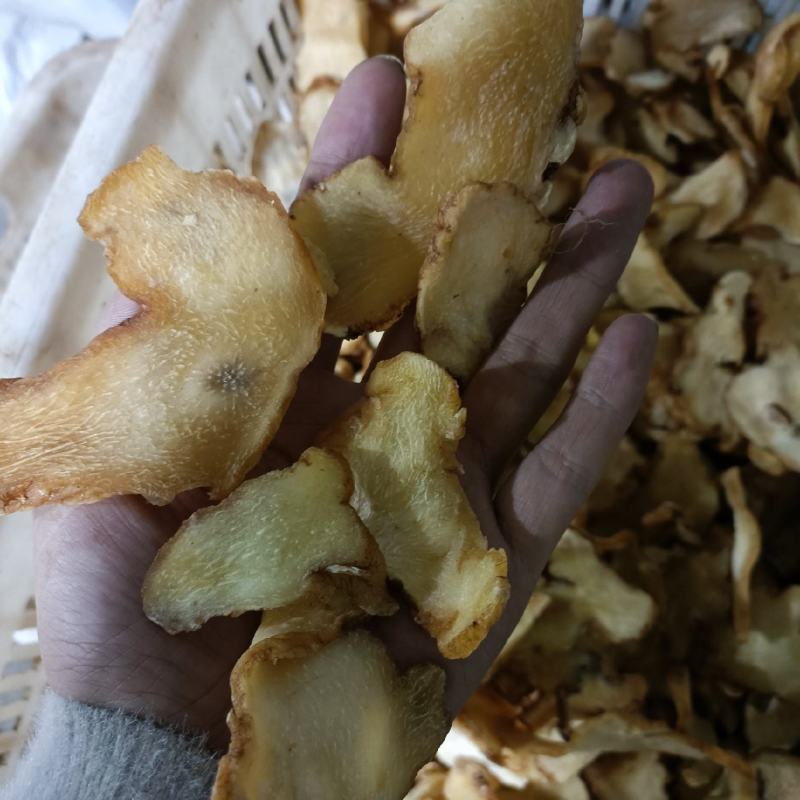 黄精
