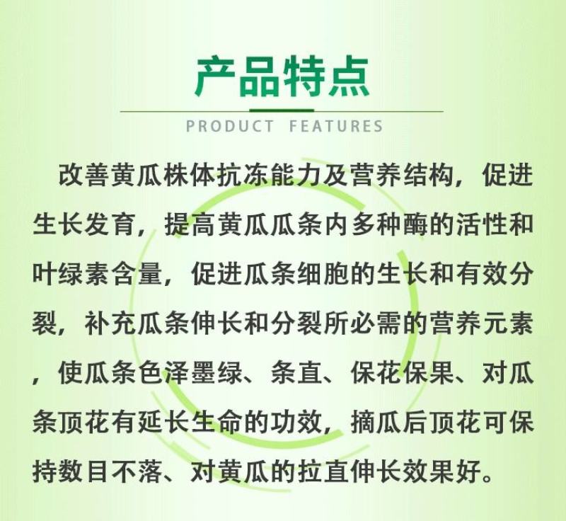 阿尔法黄瓜专用顺直王抗寒抗旱拉长拉直顺直膨大叶面肥