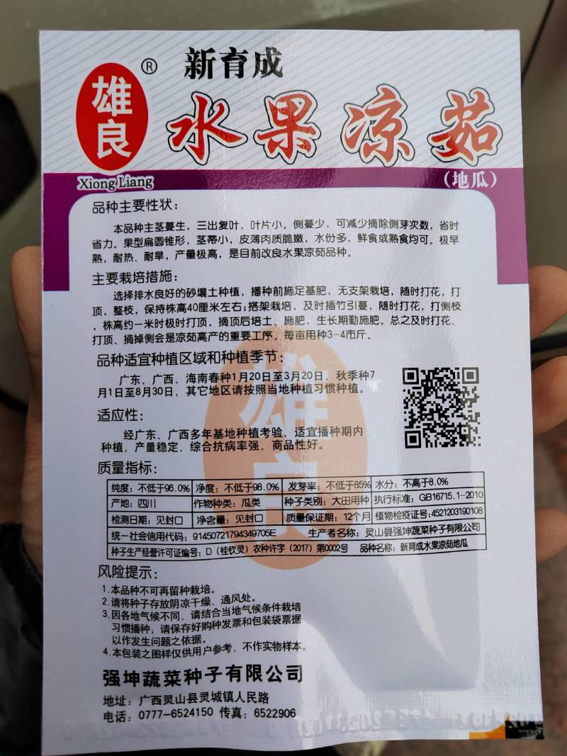 四川牧马山凉茹凉薯种子水果白（地瓜）新育成水果早熟脆甜