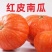 老南瓜苗红南瓜苗金香南瓜苗红皮板栗南瓜苗免费技术指导
