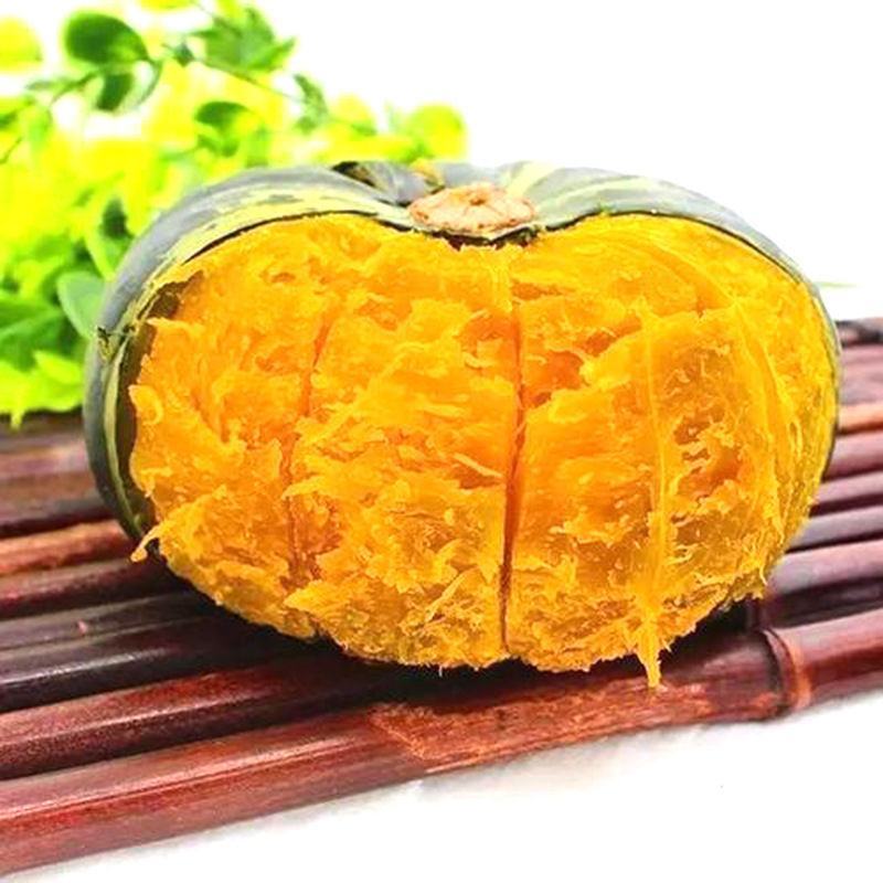 枕头南瓜苗惠和一号南瓜苗花生南瓜苗迷你小南瓜苗包回收