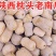 枕头南瓜苗惠和一号南瓜苗花生南瓜苗迷你小南瓜苗包回收