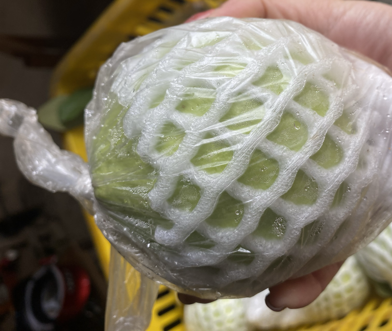 广西产地白心番石榴