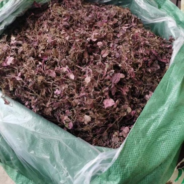 野生水洗选货风柜草