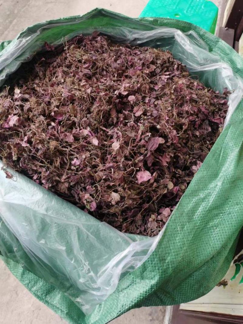 野生水洗选货风柜草