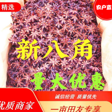 足干大红八角（广西福达国际香料交易市场）直接向全国批发