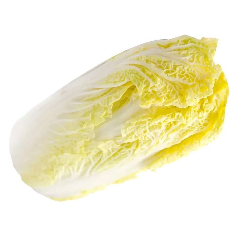 大娃娃菜苗小娃娃菜苗黄心娃娃菜苗免费技术指导包回收