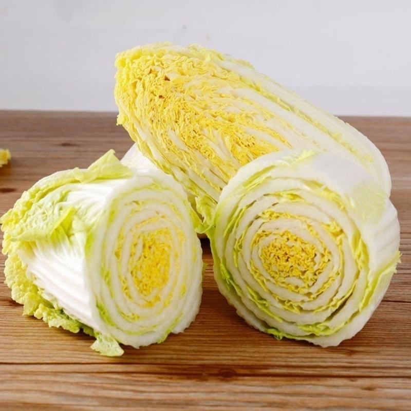 大娃娃菜苗小娃娃菜苗黄心娃娃菜苗免费技术指导包回收